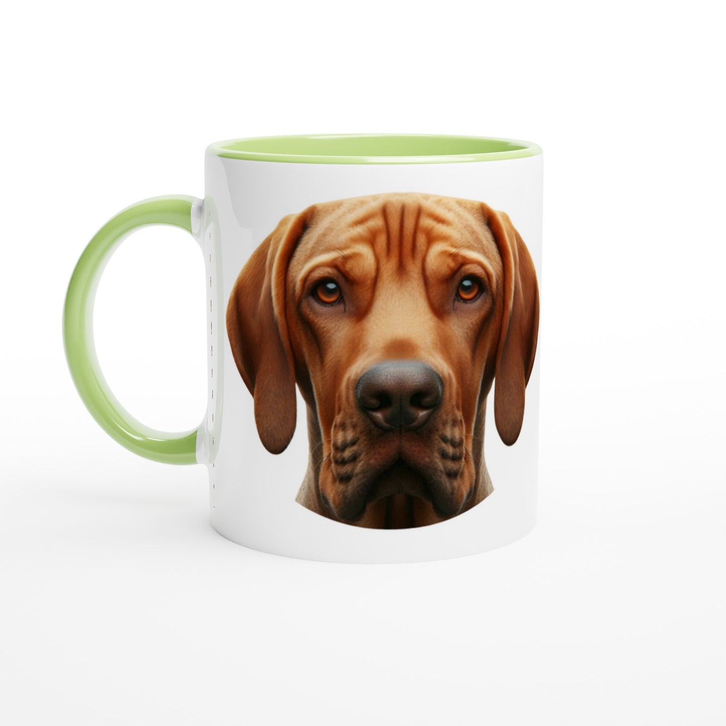 Bracco Italiano Dogs face on a  Ceramic Mug with Ceramic Green inside and handle