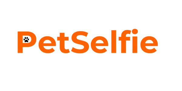 Petselfie
