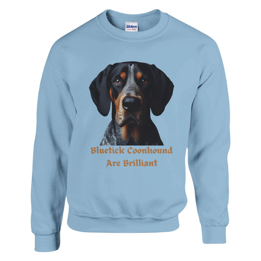 Bluetick Coonhound Dog Sweatshirt - PetSelfie - Petselfie