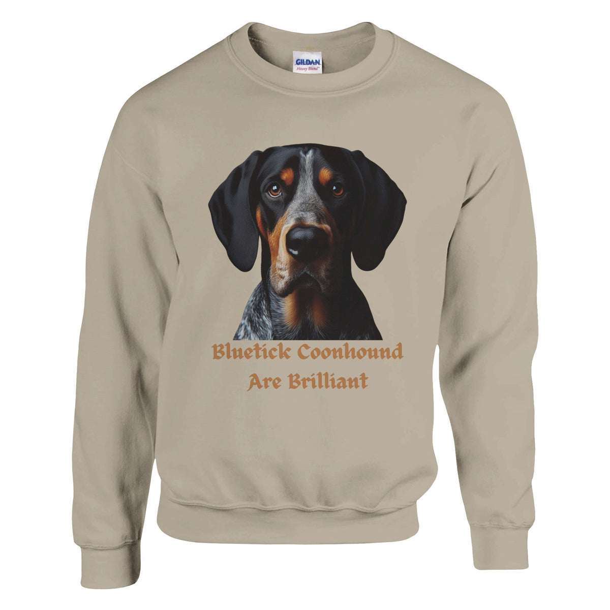 Bluetick Coonhound Dog Sweatshirt - PetSelfie - Petselfie