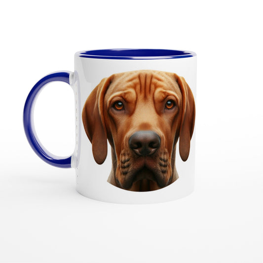 Bracco Italiano Dog Ceramic Mug - PetSelfie - Petselfie