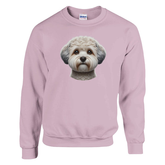 Zuchon Dog Sweatshirt - PetSelfie - Petselfie
