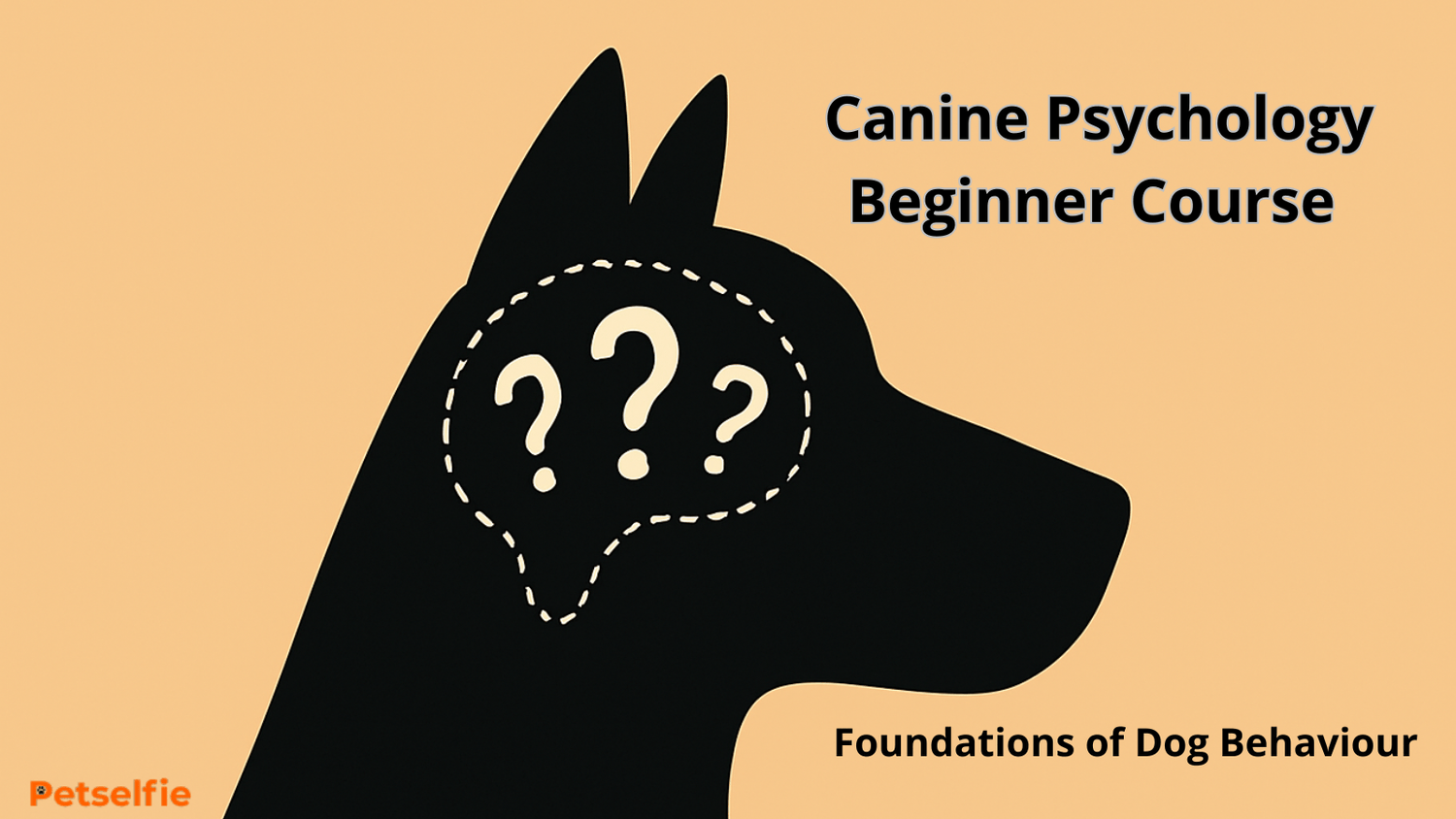 Petselfie Courses - Petselfie