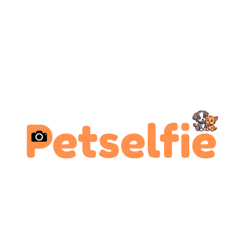 Petselfie