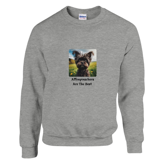 Affenpinscher Sweatshirt - PetSelfie - Petselfie