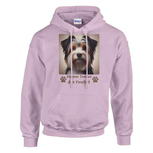 Biewer Terrier Dog Hoodie - PetSelfie - Petselfie