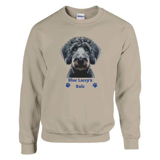 Blue Lacey Dog Sweatshirt - PetSelfie - Petselfie