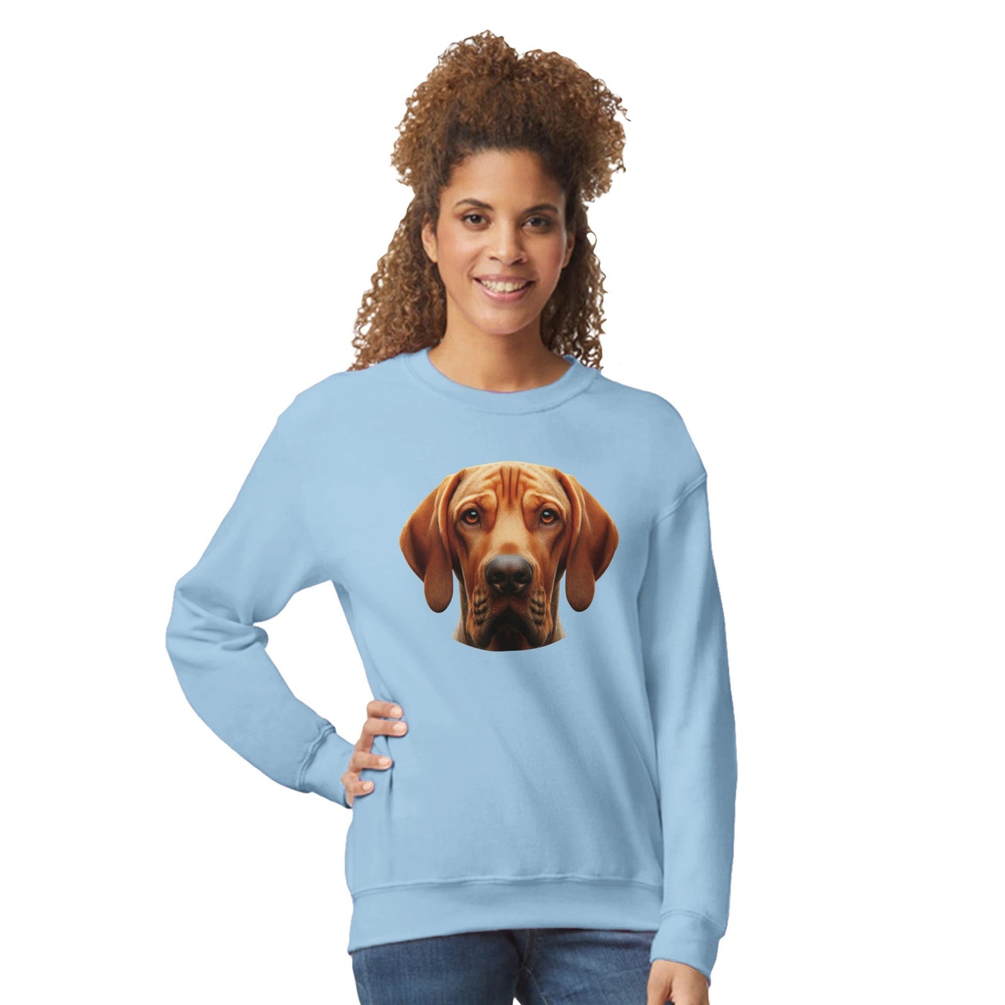 Bracco Italiano Dog Sweatshirt - PetSelfie - Petselfie