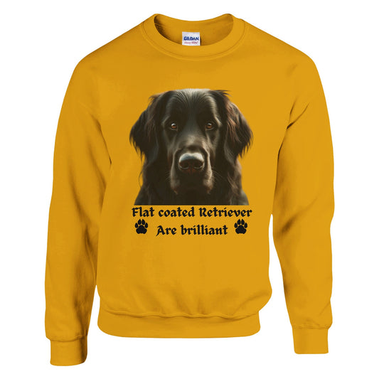 Flat coated Retriever Sweatshirt - PetSelfie - Petselfie