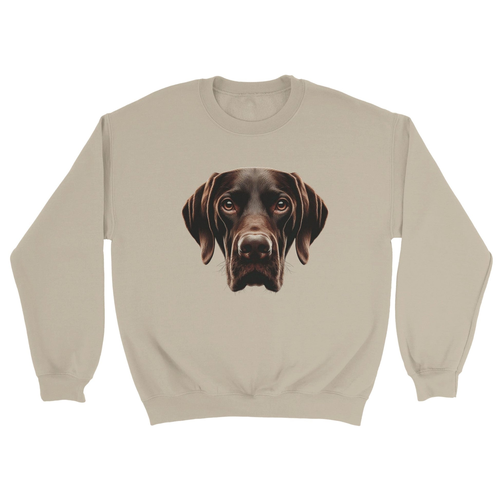 Labrador Retriever Chocolate Sweatshirt - PetSelfie - Petselfie