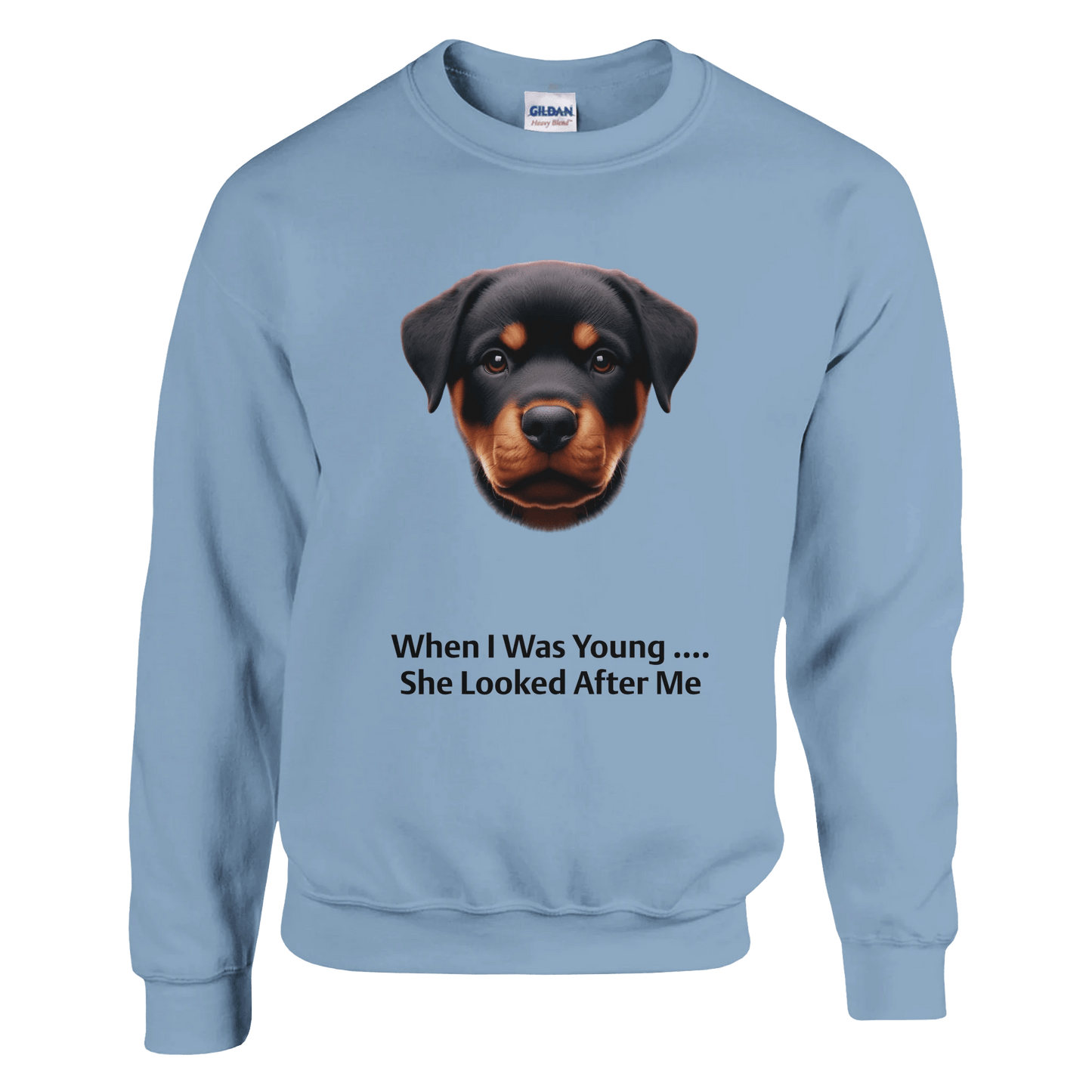 Light blue sweatshirt with a dog graphic and text on a transparent background
