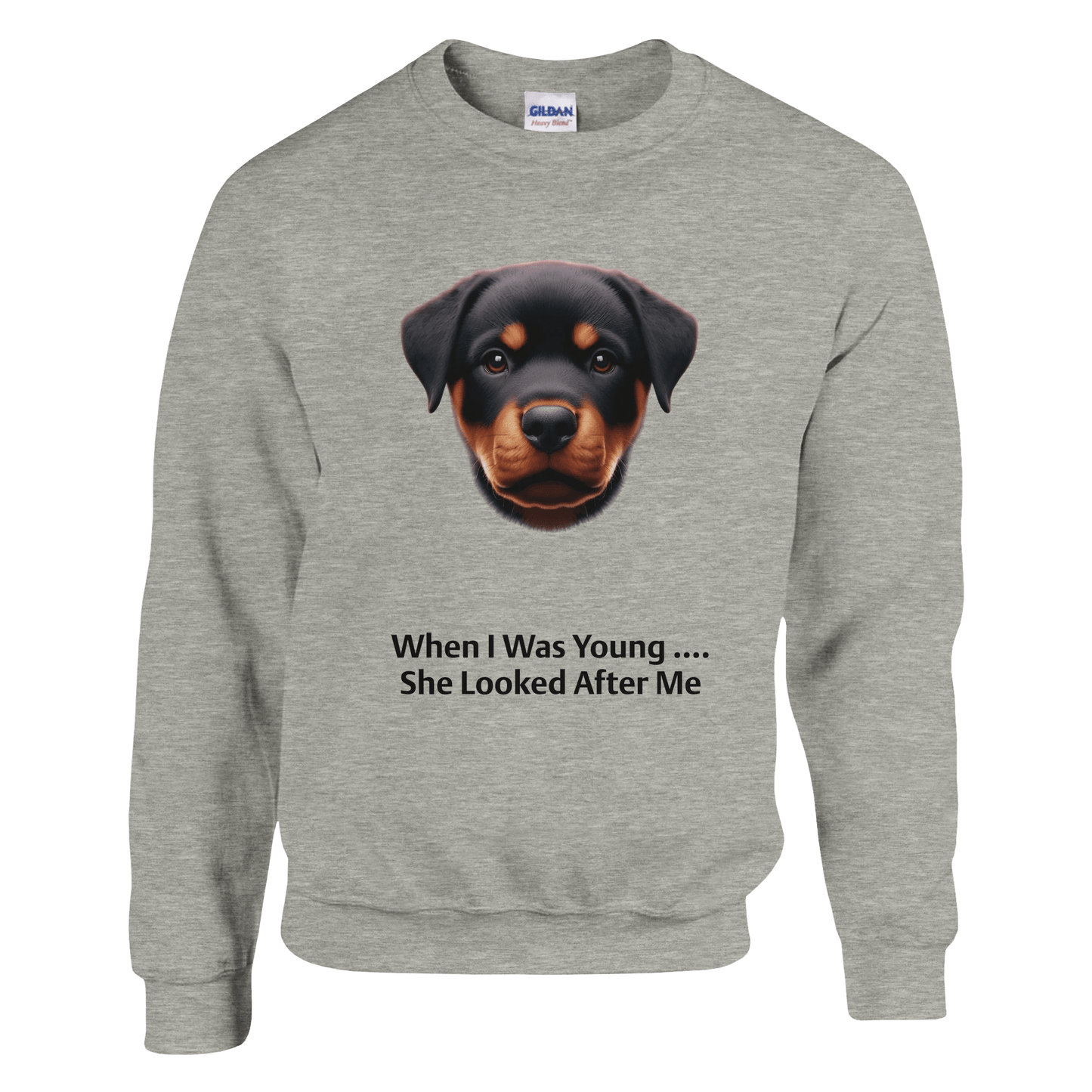 Gray sweatshirt with a dog graphic and text on a green background