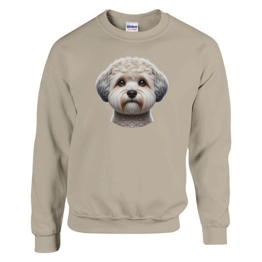 Zuchon Dog Sweatshirt - PetSelfie - Petselfie